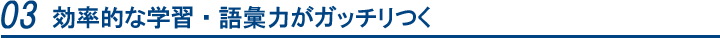 効率的な学習・語彙力がガッチリつく